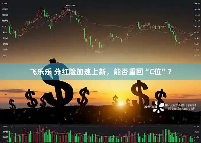 飞乐乐 分红险加速上新，能否重回“C位”？
