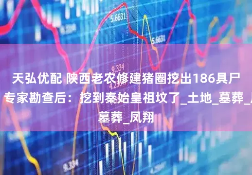 天弘优配 陕西老农修建猪圈挖出186具尸骸，专家勘查后：挖到秦始皇祖坟了_土地_墓葬_凤翔