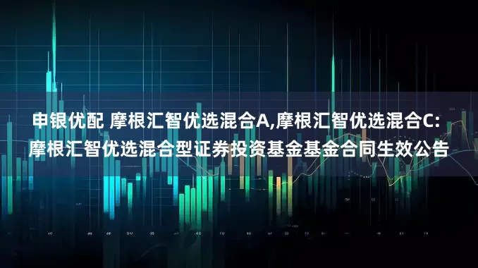 申银优配 摩根汇智优选混合A,摩根汇智优选混合C: 摩根汇智优选混合型证券投资基金基金合同生效公告
