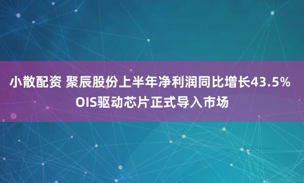 小散配资 聚辰股份上半年净利润同比增长43.5% OIS驱动芯片正式导入市场