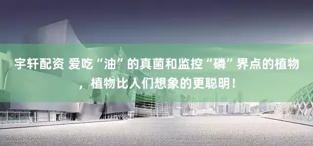 宇轩配资 爱吃“油”的真菌和监控“磷”界点的植物，植物比人们想象的更聪明！