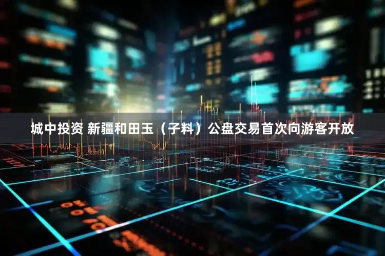 城中投资 新疆和田玉（子料）公盘交易首次向游客开放
